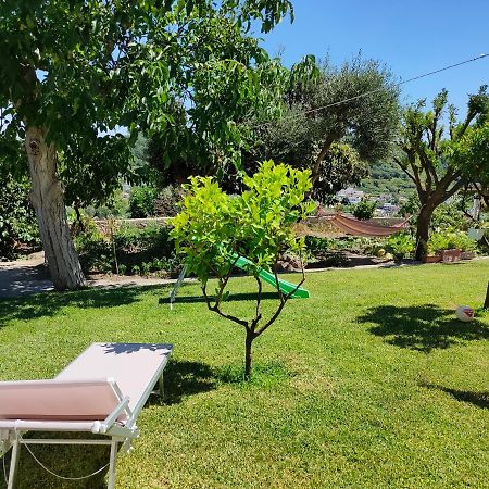 Il Giardino Barano dʼIschia Exterior foto